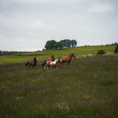 Wohlfuehl-Ferienhaus Eifel-Landurlaub Mit Herz 克罗嫩堡 外观 照片